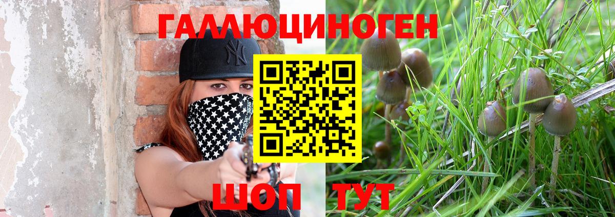 цена   Галлюциногенные грибы GOLDEN TEACHER  Вход с VPN  Корсаков 