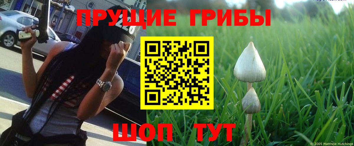 Галлюциногенные грибы Magic Shrooms Корсаков
